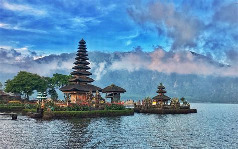 Protecting Bali's Magic Gills: Conservation Efforts